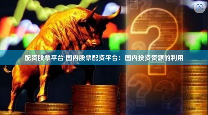 配资股票平台 国内股票配资平台:国内投资资源的利用