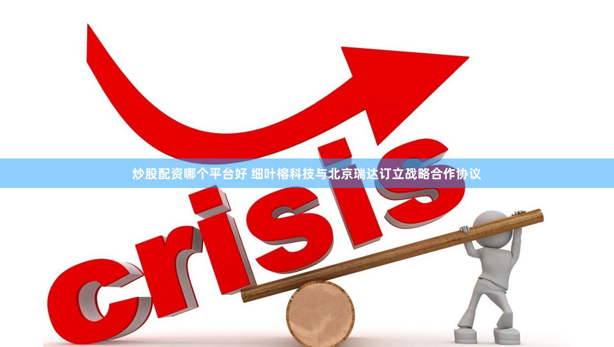 炒股配资哪个平台好 细叶榕科技与北京瑞达订立战略合作协议