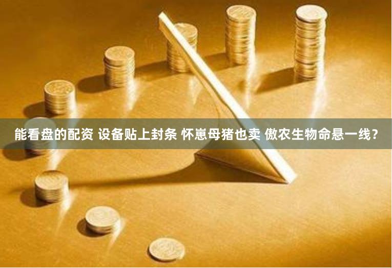 能看盘的配资 设备贴上封条 怀崽母猪也卖 傲农生物命悬一线?