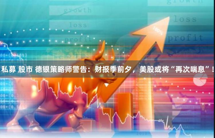 私募 股市 德银策略师警告:财报季前夕,美股或将“再次喘息”!