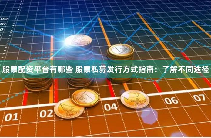 股票配资平台有哪些 股票私募发行方式指南:了解不同途径